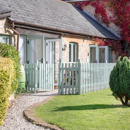 Daisy Cottage Paignton Eksteriør bilde